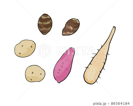 いも野菜のイラストセットのイラスト素材 [86564184] - PIXTA