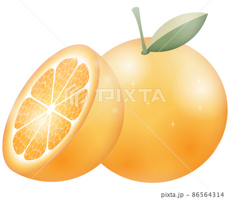 輪切りにカットしたみかん オレンジ と丸ごとみかんのイラストのイラスト素材