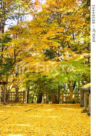 庚申山 広徳寺の紅葉2021秋 庚申山 広徳寺の紅葉2021秋 86564443