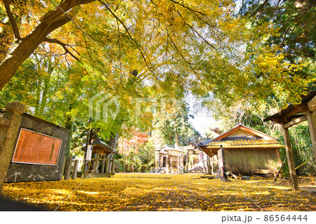庚申山 広徳寺の紅葉2021秋 86564444
