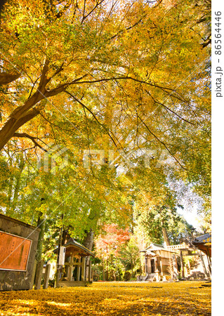 庚申山 広徳寺の紅葉2021秋 庚申山 広徳寺の紅葉2021秋 86564446