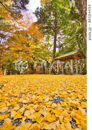 庚申山 広徳寺の紅葉2021秋 庚申山 広徳寺の紅葉2021秋 86564454