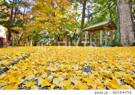 庚申山 広徳寺の紅葉2021秋 86564456
