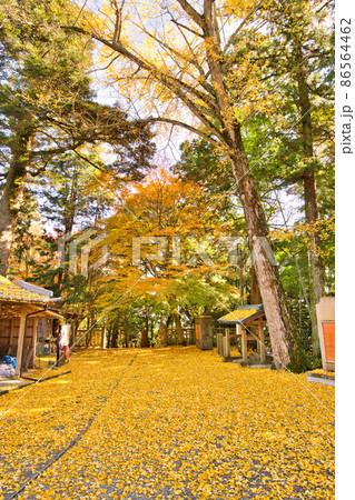 庚申山 広徳寺の紅葉2021秋 庚申山 広徳寺の紅葉2021秋 86564462