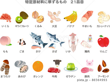 食物アレルギー 特定原材料に準ずるもの21品目一覧 イラストのイラスト素材