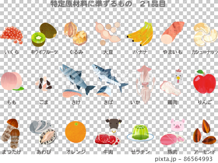 食物アレルギー　特定原材料に準ずるもの21品目一覧　イラスト 86564993