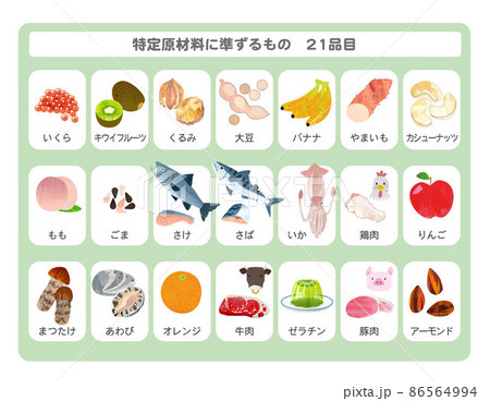 食物アレルギー　特定原材料に準ずるもの21品目一覧　イラスト 86564994