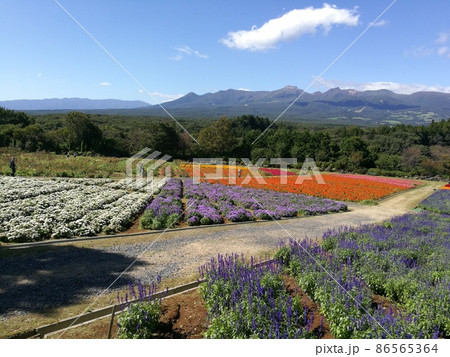 那須岳を遠くに望む、那須フラワーワールド花畑風景 那須岳を遠くに望む、那須フラワーワールド花畑風景 86565364