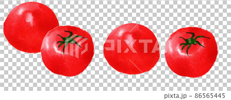 Tomato watercolor hand-painted fruit and vegetable illustration 86565445