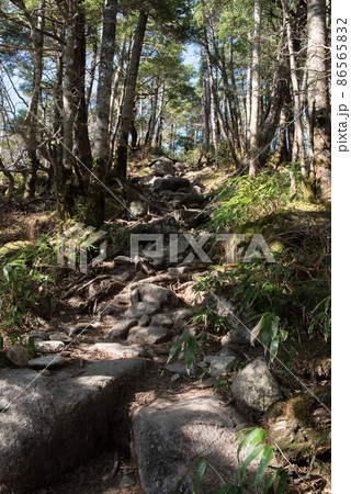 長野阿智村と岐阜中津川の間にある紅葉の時期の日本百名山の恵那山の広河原ルートの石畳と笹 86565832