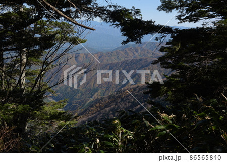 長野阿智村と岐阜中津川の間にある紅葉の時期の日本百名山の恵那山の広河原ルートの笹と紅葉 長野阿智村と岐阜中津川の間にある紅葉の時期の日本百名山の恵那山の広河原ルートの笹と紅葉 86565840