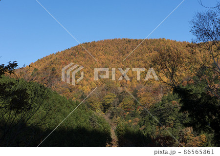 長野阿智村と岐阜中津川の間にある紅葉の時期の日本百名山の恵那山の広河原ルートの紅葉と青空 長野阿智村と岐阜中津川の間にある紅葉の時期の日本百名山の恵那山の広河原ルートの紅葉と青空 86565861