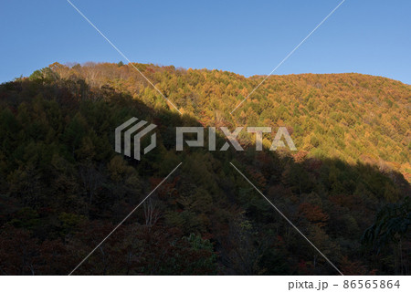 長野阿智村と岐阜中津川の間にある紅葉の時期の日本百名山の恵那山の広河原ルートの紅葉 長野阿智村と岐阜中津川の間にある紅葉の時期の日本百名山の恵那山の広河原ルートの紅葉 86565864