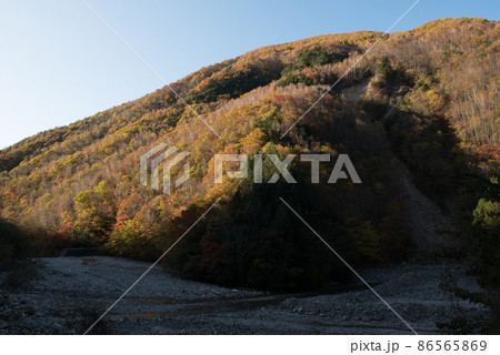 長野阿智村と岐阜中津川の間にある紅葉の時期の日本百名山の恵那山の広河原ルートの紅葉と本谷川 長野阿智村と岐阜中津川の間にある紅葉の時期の日本百名山の恵那山の広河原ルートの紅葉と本谷川 86565869