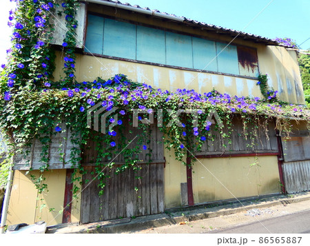 歴史的建造物 86565887