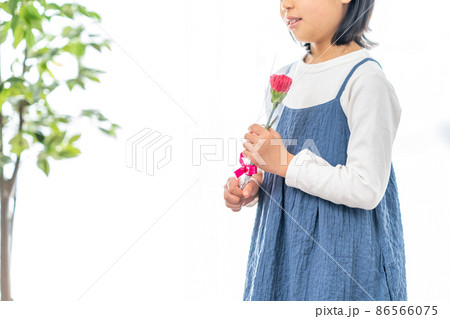 母の日にカーネーションを渡そうとしている女の子 86566075