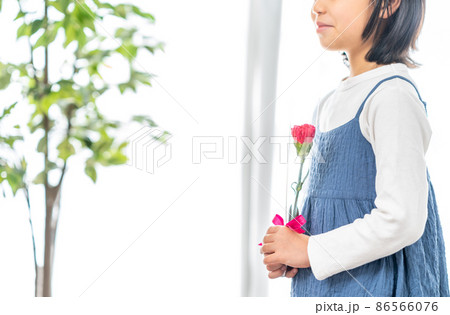 母の日にカーネーションを渡そうとしている女の子 86566076