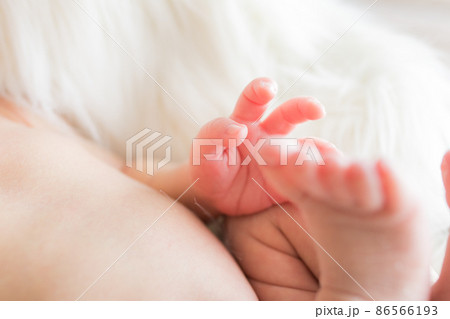 新生児の手 86566193