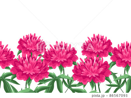 Background with peonies flowers. Beautiful decorative spring plants. Background with peonies flowers. Beautiful decorative spring plants. 86567093