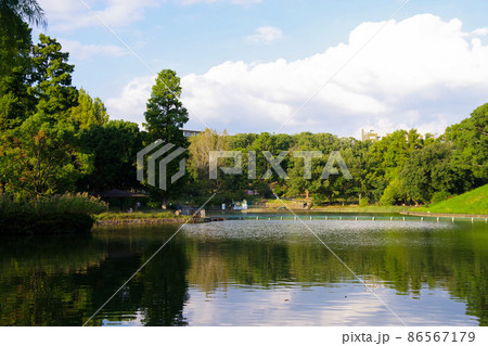 市街地の公園　緑豊かな公園　池　憩いの場　ニュータウン 86567179