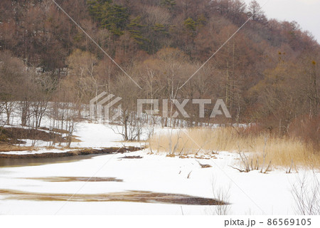 写真、過疎化に悩む過疎化に悩む　本州で一番寒い岩手県岩洞湖の早春賦　早春の薄氷に浮かぶ木々の芽吹き　 86569105