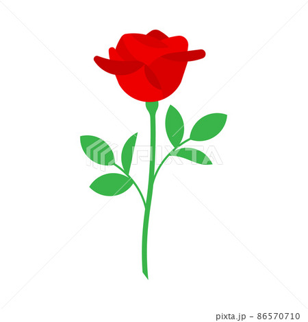 Red rose with leaves. Vector illustration. Isolated on white background. 86570710