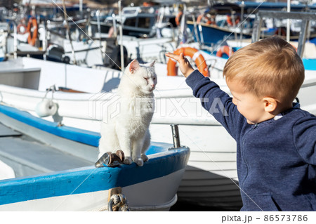 Cute funny white street skipper cat enjoy warm summer sun light sitting on vintage wooden sailing boat at village marina on bright summer day. Funny pet on fishing sailboat vessel. Travel concept Cute funny white street skipper cat enjoy warm summer sun light sitting on vintage wooden sailing boat at village marina on bright summer day. Funny pet on fishing sailboat vessel. Travel concept 86573786