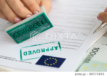 EU visa application approved. Document applying for entry into European Union 86573893