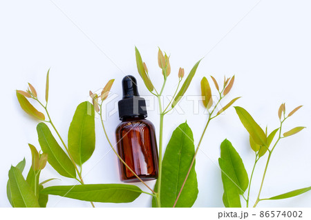 Eucalyptus essential oil bottle with leaves on white background. Eucalyptus essential oil bottle with leaves on white background. 86574002