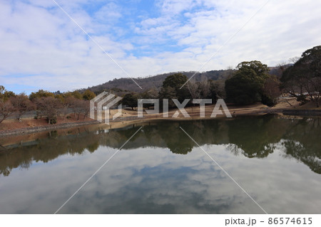 雲の多い青空のある空と山と色々な木々の森と枯草の丘と水辺にいる鹿を写す水鏡の水面の池の見える風景 86574615