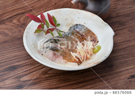炙りしめ鯖、〆鯖、しめさば、シメサバ、しめサバ、シメ鯖。お料理、海鮮料理。 炙りしめ鯖、〆鯖、しめさば、シメサバ、しめサバ、シメ鯖。お料理、海鮮料理。 86576066