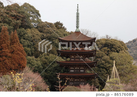 梅薫る山口瑠璃光寺 86576089