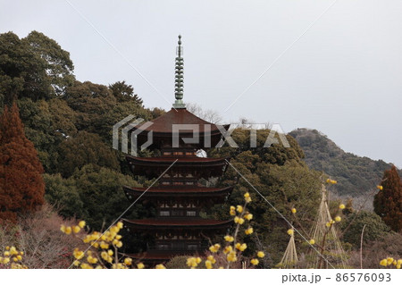 梅薫る山口瑠璃光寺 梅薫る山口瑠璃光寺 86576093