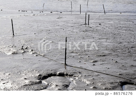 干潟 干潟 86576276