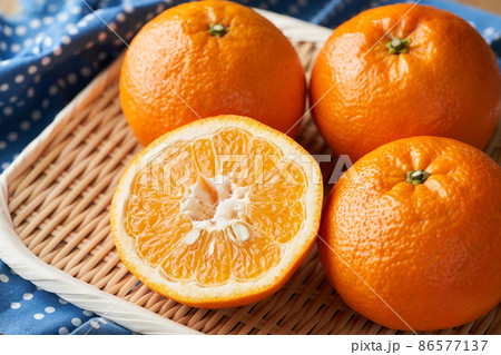 伊予柑 伊予柑 86577137