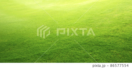 grass background Golf Courses green lawn pattern textured grass background Golf Courses green lawn pattern textured 86577554
