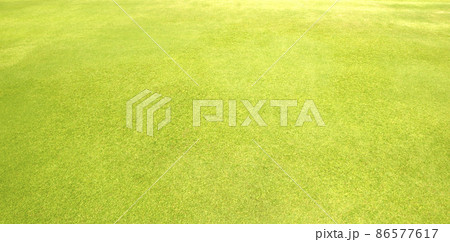 grass background Golf Courses green lawn pattern textured 86577617
