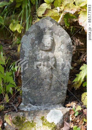 秋の塩の道ウオーキング(信州大町の中綱湖周辺) 秋の塩の道ウオーキング(信州大町の中綱湖周辺) 86577883