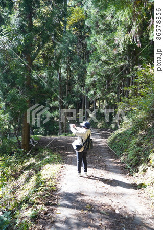 長野県秋の塩の道ウオーキング(信州大町の中綱湖周辺) 長野県秋の塩の道ウオーキング(信州大町の中綱湖周辺) 86578356