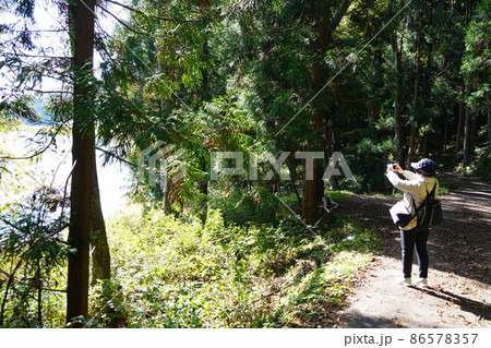 長野県秋の塩の道ウオーキング(信州大町の中綱湖周辺) 長野県秋の塩の道ウオーキング(信州大町の中綱湖周辺) 86578357