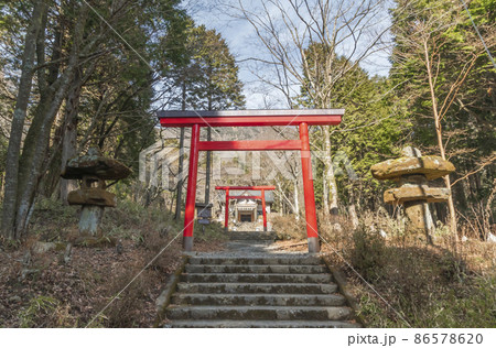 金時神社 金時神社 86578620