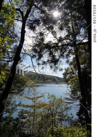 長野県秋の塩の道ウオーキングに行って来ました。素晴らしい湖がありました。(信州大町の中綱湖周辺) 長野県秋の塩の道ウオーキングに行って来ました。素晴らしい湖がありました。(信州大町の中綱湖周辺) 86579508