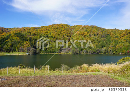 長野県秋の塩の道ウオーキングに行って来ました。素晴らしい湖がありました。(信州大町の中綱湖周辺) 長野県秋の塩の道ウオーキングに行って来ました。素晴らしい湖がありました。(信州大町の中綱湖周辺) 86579538