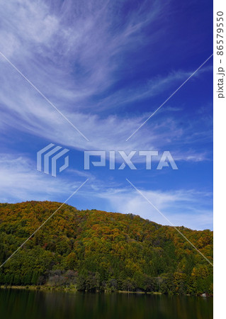 長野県秋の塩の道ウオーキングに行って来ました。素晴らしい湖がありました。(信州大町の中綱湖周辺) 長野県秋の塩の道ウオーキングに行って来ました。素晴らしい湖がありました。(信州大町の中綱湖周辺) 86579550