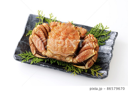 北海道広尾産の毛蟹(Lサイズ) 86579670