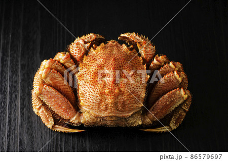 北海道広尾産の毛蟹(Lサイズ) 86579697