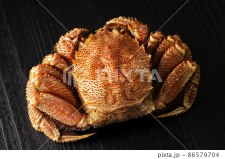 北海道広尾産の毛蟹(Lサイズ) 86579704