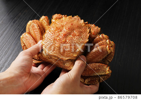 北海道広尾産の毛蟹(Lサイズ) 86579708