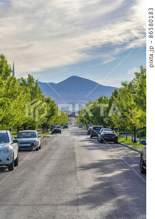 Concrete road with vehicles parked on the roadside near the columnar trees at Daybreak, Utah Concrete road with vehicles parked on the roadside near the columnar trees at Daybreak, Utah 86580183