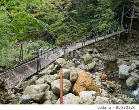 静岡県 東伊豆町 不知沼へ 86580826